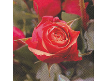 75-089-00 - ����-������. ���� 0,16 ���� �� 1��..jpg