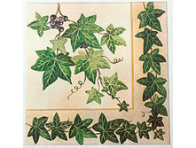 82-015-00 - ����. ���� 0,16 ���� �� 1��..jpg