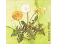 82-098-00 - ���������. ���� 0,16 ���� �� 1��..jpg