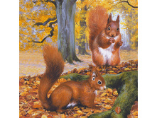 82-226-00 - �����. ���� 0,16 ���� �� 1��..jpg