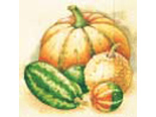 82-538-00 - �����. ���� 0,16 ���� �� 1��..jpg