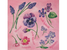 82-843-00 - �������� �������. ���� 0,16 ���� �� 1��..jpg