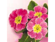 82-853-00, ����� �������. ���� 0,16 ���� �� 1��..jpg