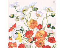 82-861-00 - ���� ����. ���� 0,16 ���� �� 1��..jpg