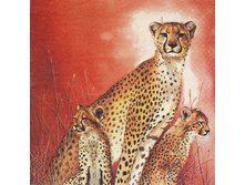 82-962-00 - ������. ���� 0,16 ���� �� 1��..jpg