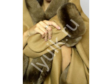 �������� ������, ������.jpg