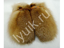 �������� ���� (�������).jpg