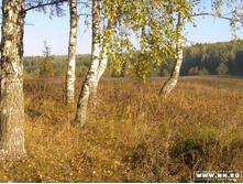 ������� ������