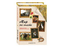 ��� �� ������ 400�.jpg