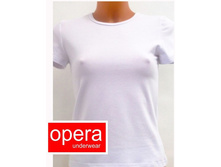 �� �����/�����