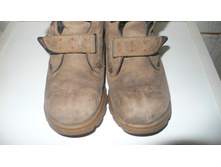 P1100346 - �����.JPG