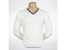 1119v ��������