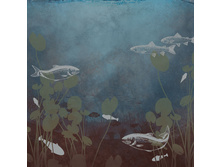 PGL-0022E �����.���� 1,08 ��.��� 15 ������.jpg