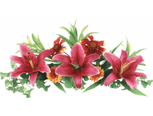 ����� 1.png