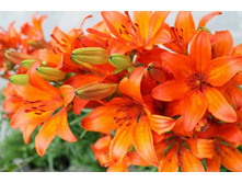 ����� 8.jpg