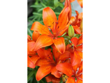 ����� 9.jpg