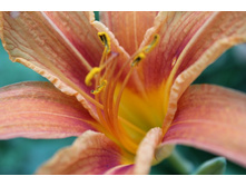 ����� 12.jpg