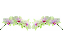 ������� 1.jpg