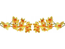 ������� 3.jpg