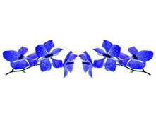 ������� 4.jpg