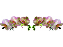 ������� 5.jpg