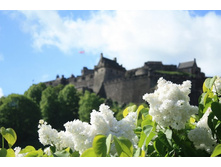 ������ (7).jpg