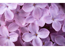 ������ (8).jpg