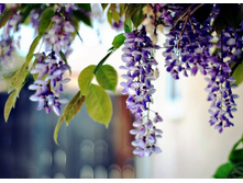 ������ (9).jpg