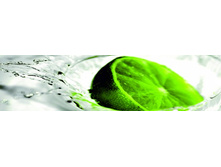 ������� ������ 2.jpg