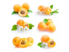 ������� ������ 7.jpg