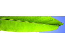 ������� ������ 33.jpg