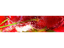 ������� ������ 43.jpg