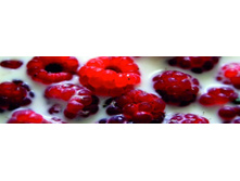 ������� ������ 47.jpg