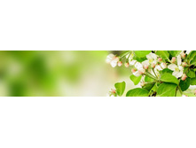 ������� ����� 8.jpg