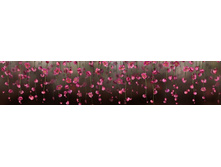 ������� ����� 9.jpg