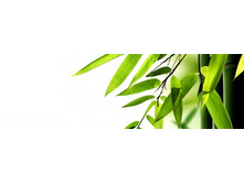 ������� ����� 10.jpg