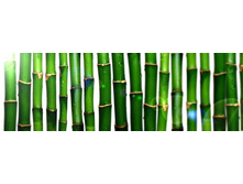 ������� ����� 11.jpg