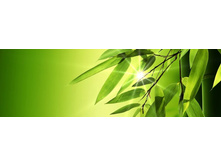 ������� ����� 12.jpg