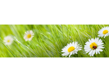 ������� ����� 13.jpg