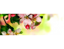 ������� ����� 14.jpg