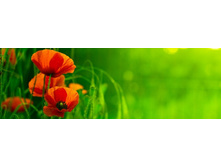 ������� ����� 15.jpg