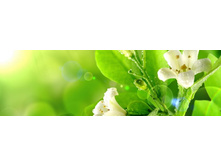 ������� ����� 16.jpg