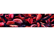 ������� ����� 21.jpg