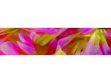 ������� ����� 22.jpg