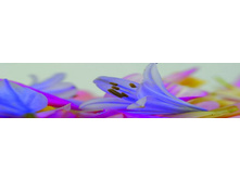 ������� ����� 23.jpg