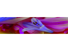 ������� ����� 24.jpg