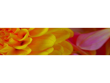 ������� ����� 25.jpg