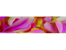 ������� ����� 27.jpg