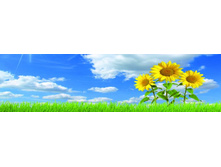 ������� ����� 28.jpg