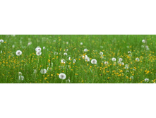 ������� ����� 30.jpg